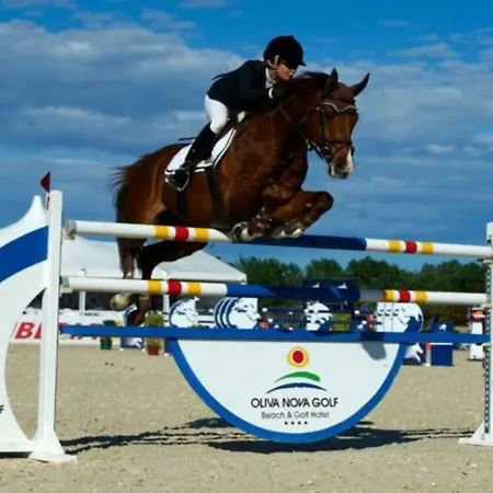 Holidays 2 Apartment Oliva